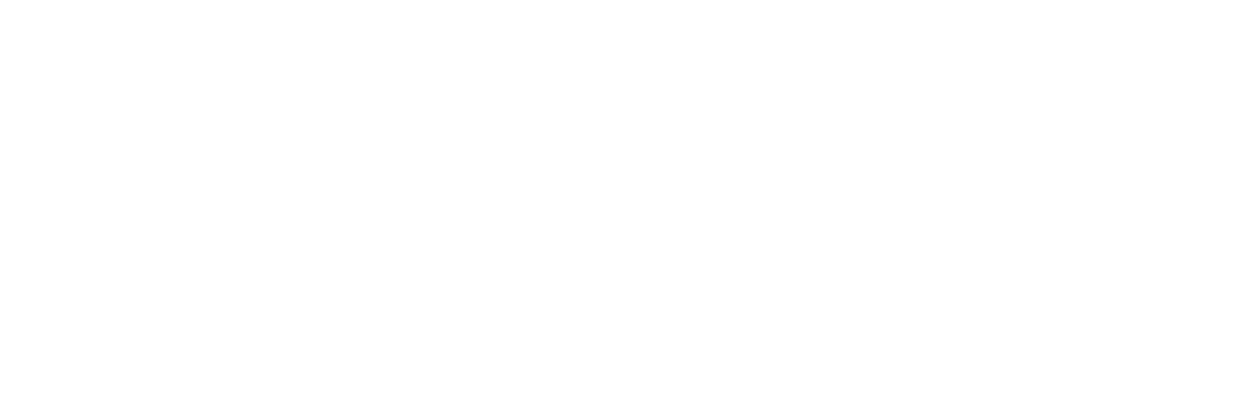 Optimum Vision.png