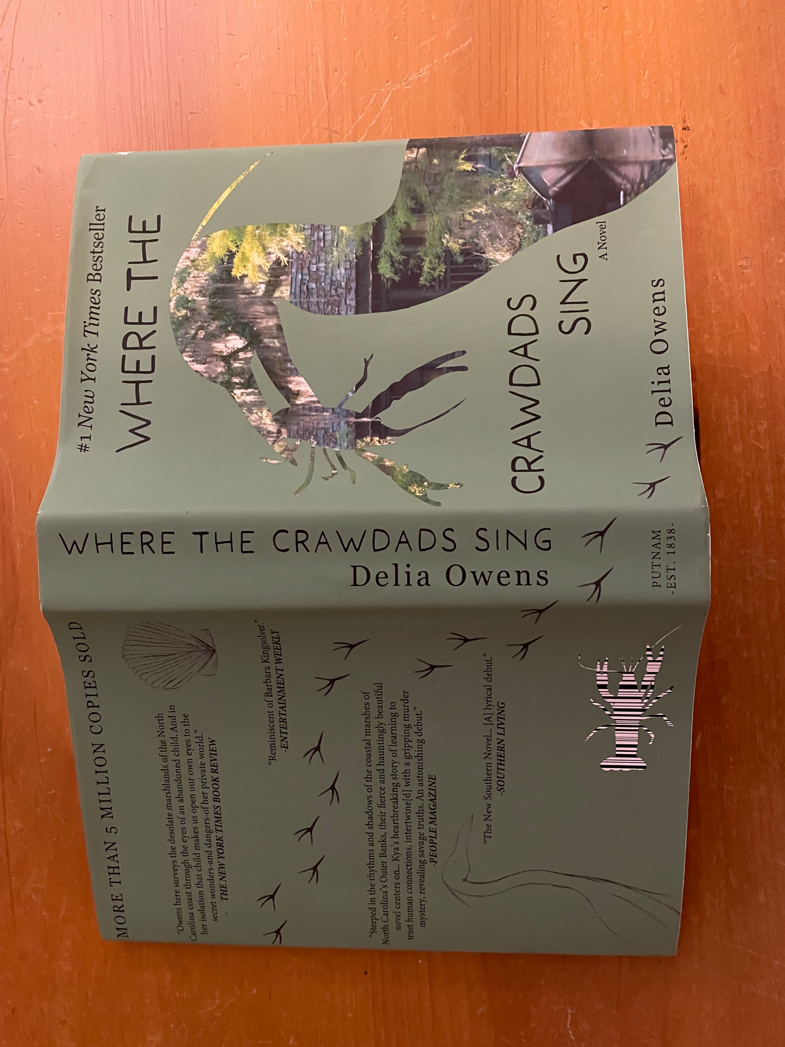 Book Cover 1.png