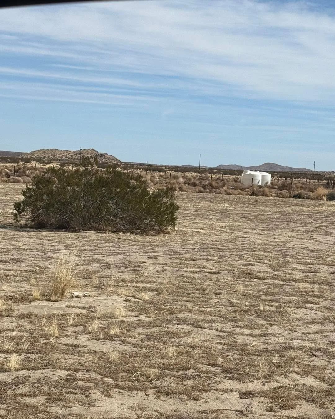 Check on all your tortoise friends this weekend will have heat and floods!