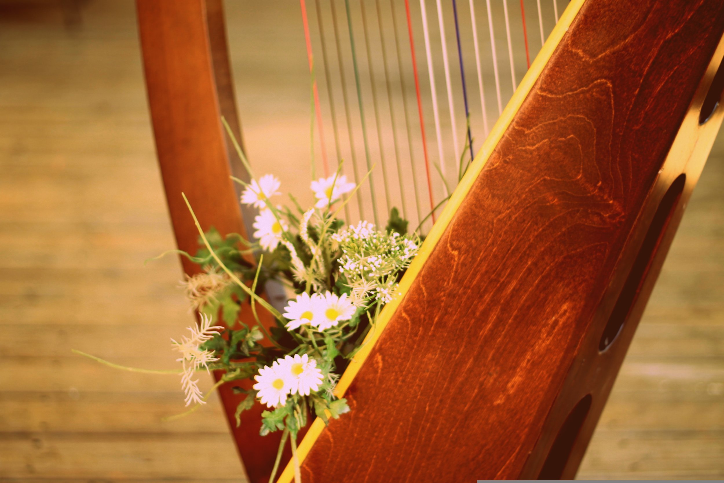 Healing Through Sound