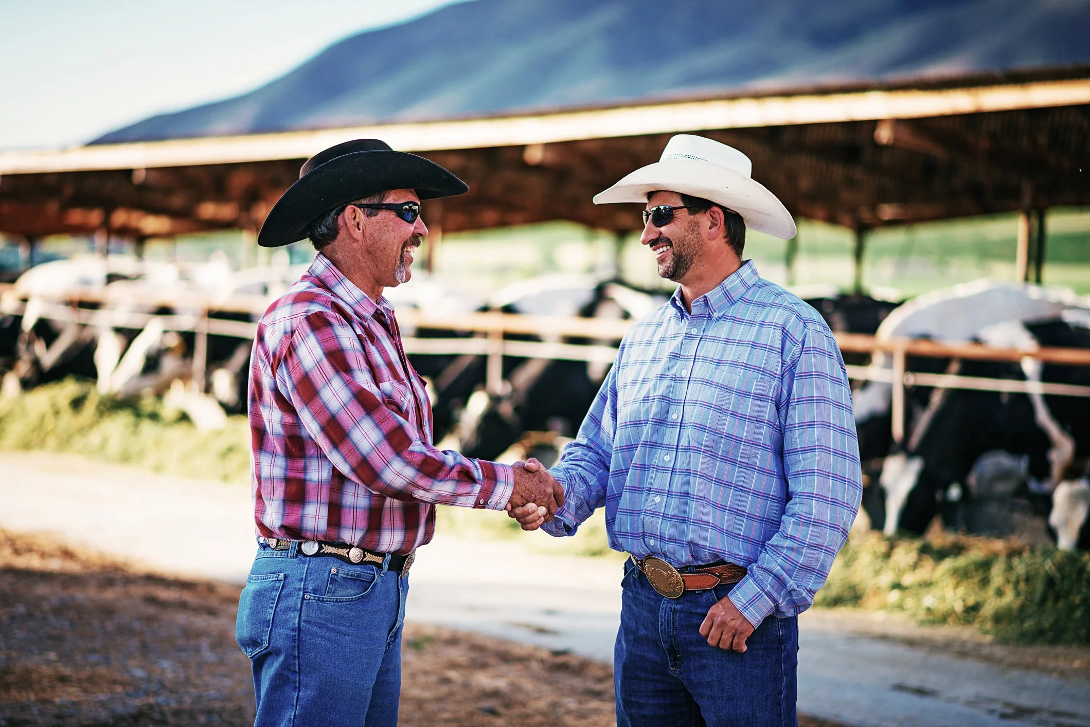 Do You Need USDA Approval to Sell Beef Online in Oklahoma?&nbsp;