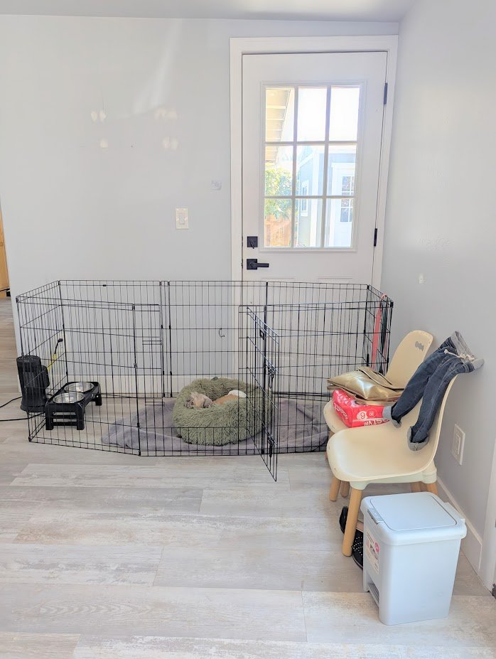 Encinitas California Moving Packing Unpacking Before After showcasing calm clutter free living room family room new house unpack moving boxes organize piles of clothes functional space dog kennel dog space dog bed kids chair toddler chair