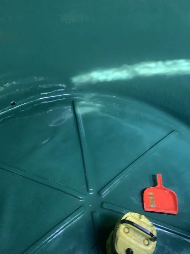 Water Tank Cleaning in Summer — Why It Matters More Than Ever