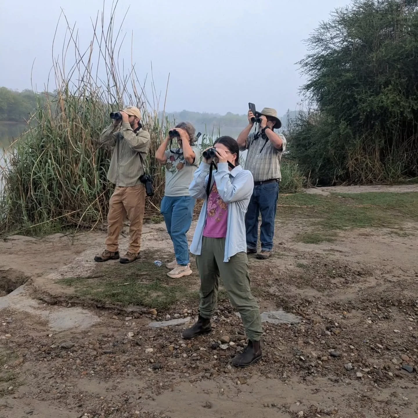 In addition to our native and edible landscaping design services, we also offer guided birding excursions. John has been birding in the Rio Grande Valley since he was a child, and has been a professional bird guide and naturalist for over 15 years, i