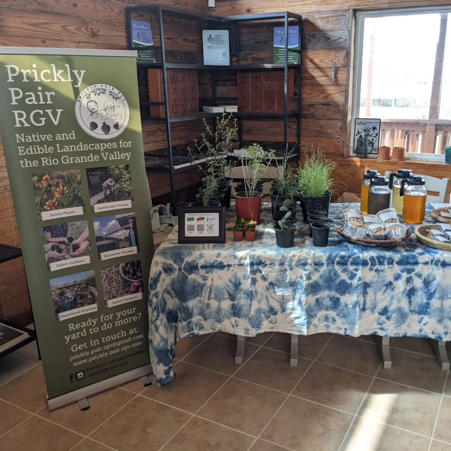 We had lots of fun at the @rgvcnpsot event today on South Padre Island! We brought a selection of native plants, mesquite beer bread, and herbal teas. It was a great community-building event, and it was really cool to see all the work the chapter is 