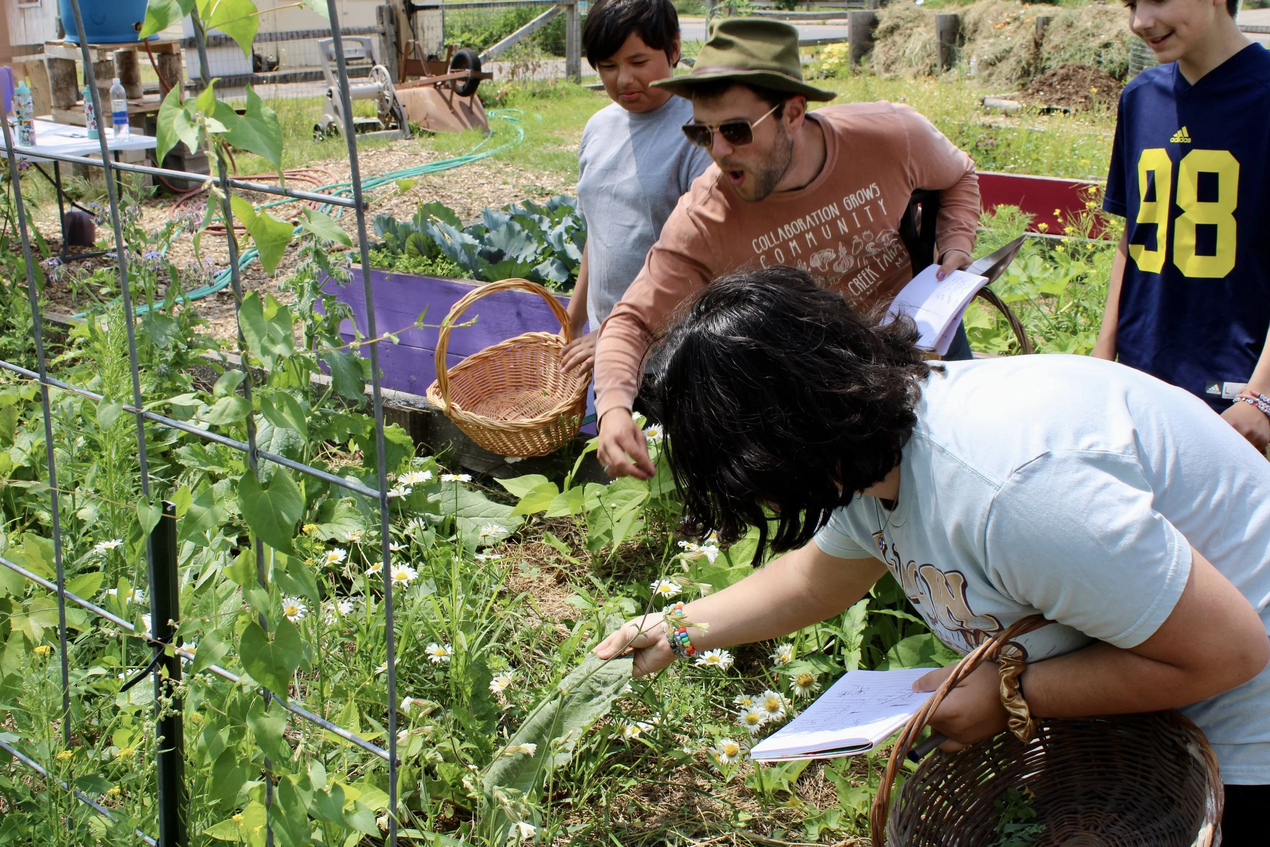 Foraging- Summer Camp.jpeg