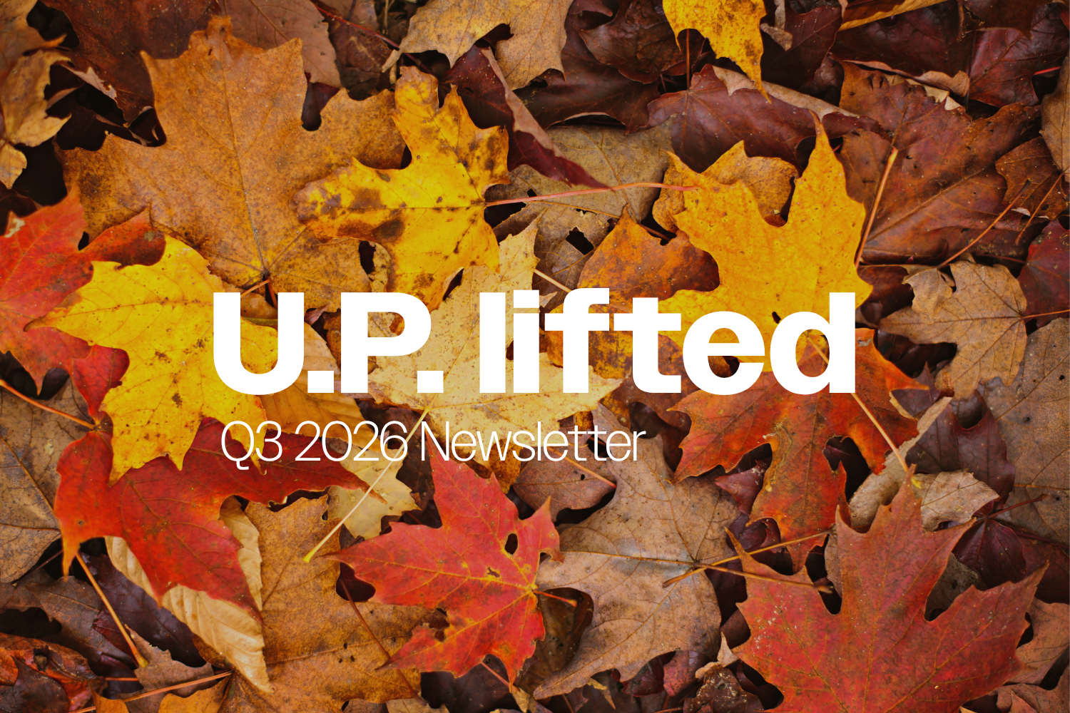 Newsletter | U.P. lifted | Q3 2026