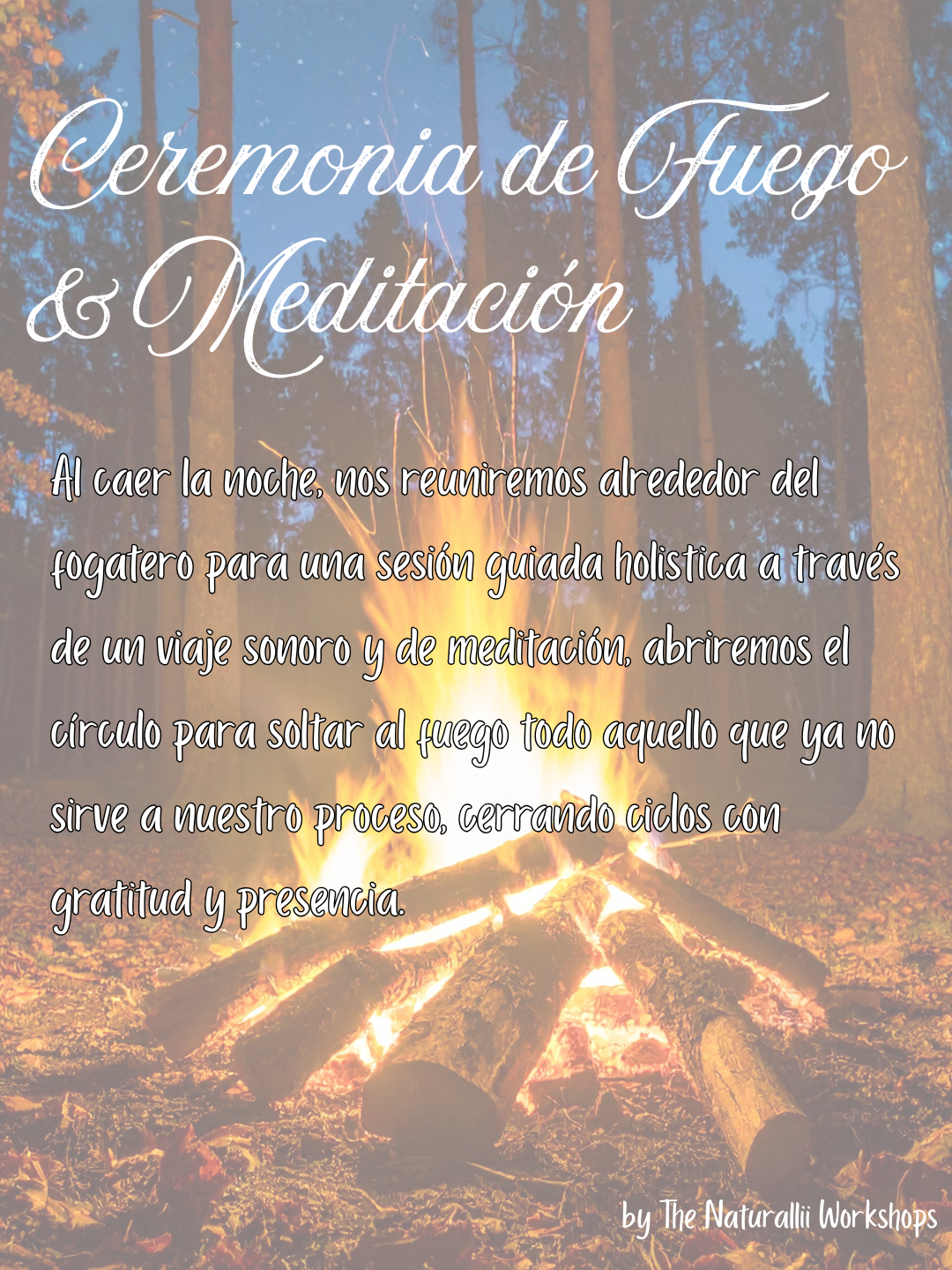 Noche de brujas - 5.PNG