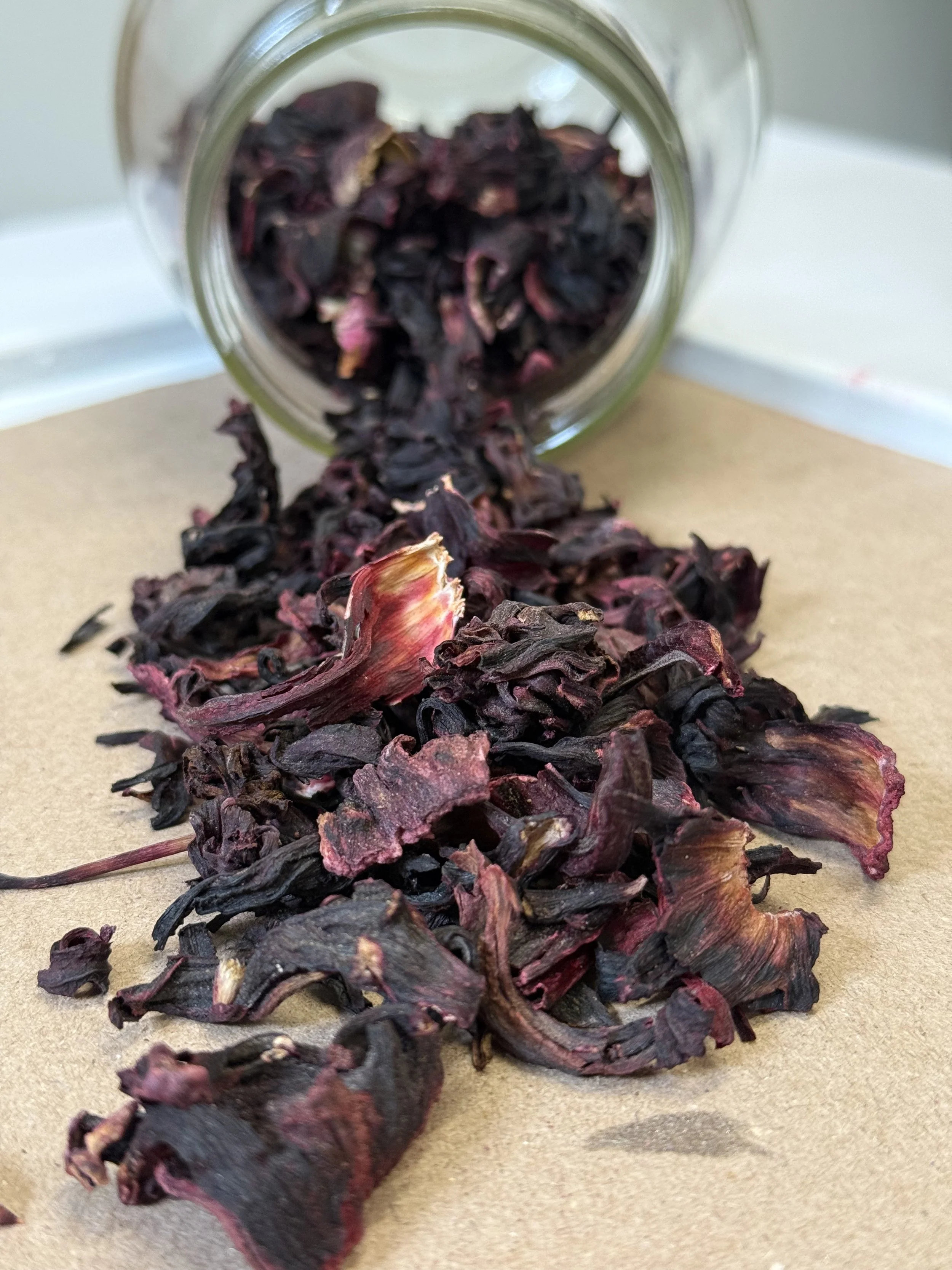 Flor de Hibiscus / Flor de Jamaica (Hibiscus sabdariffa)