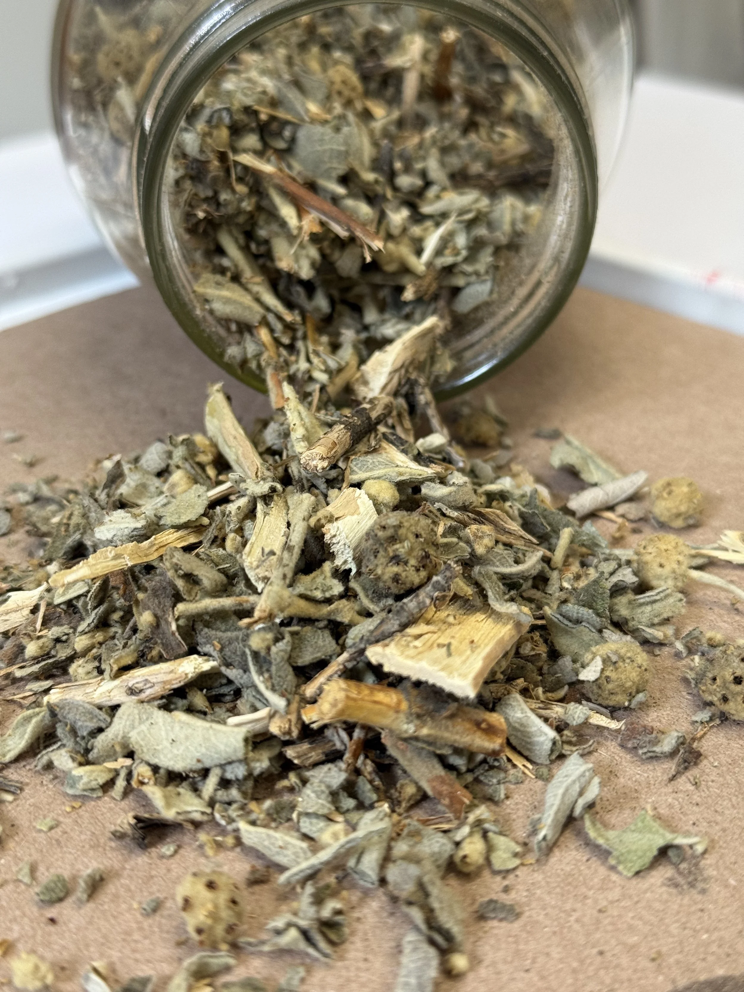 Planta de Salvia (Salvia officinalis)