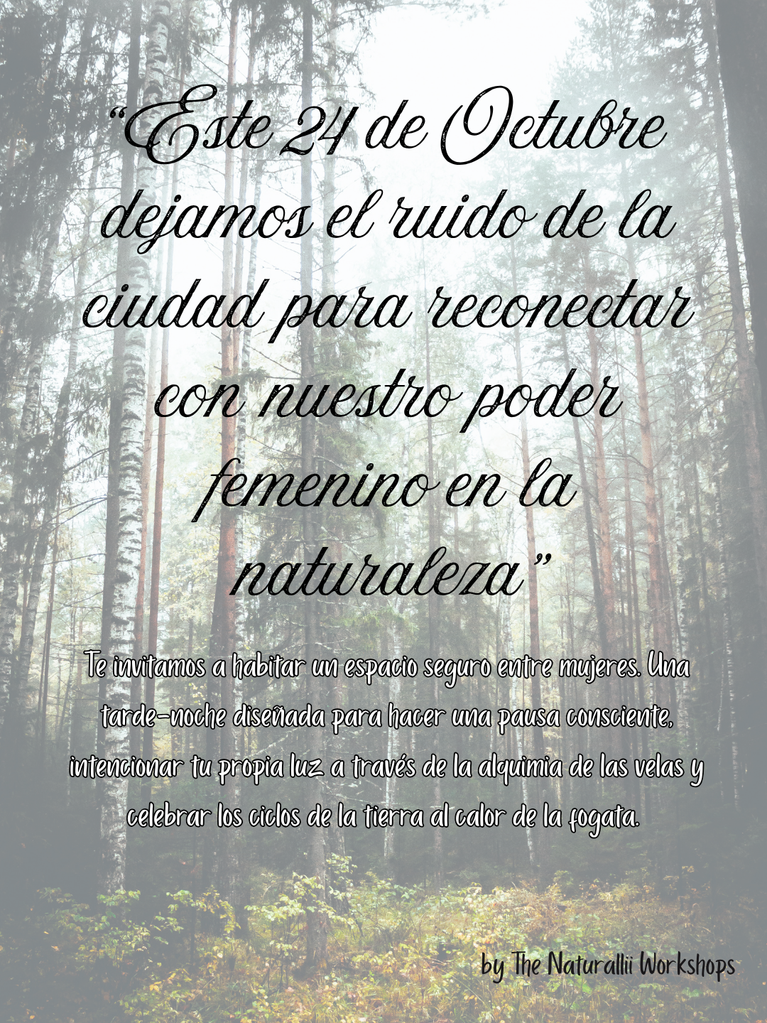 Noche de brujas - 2.PNG