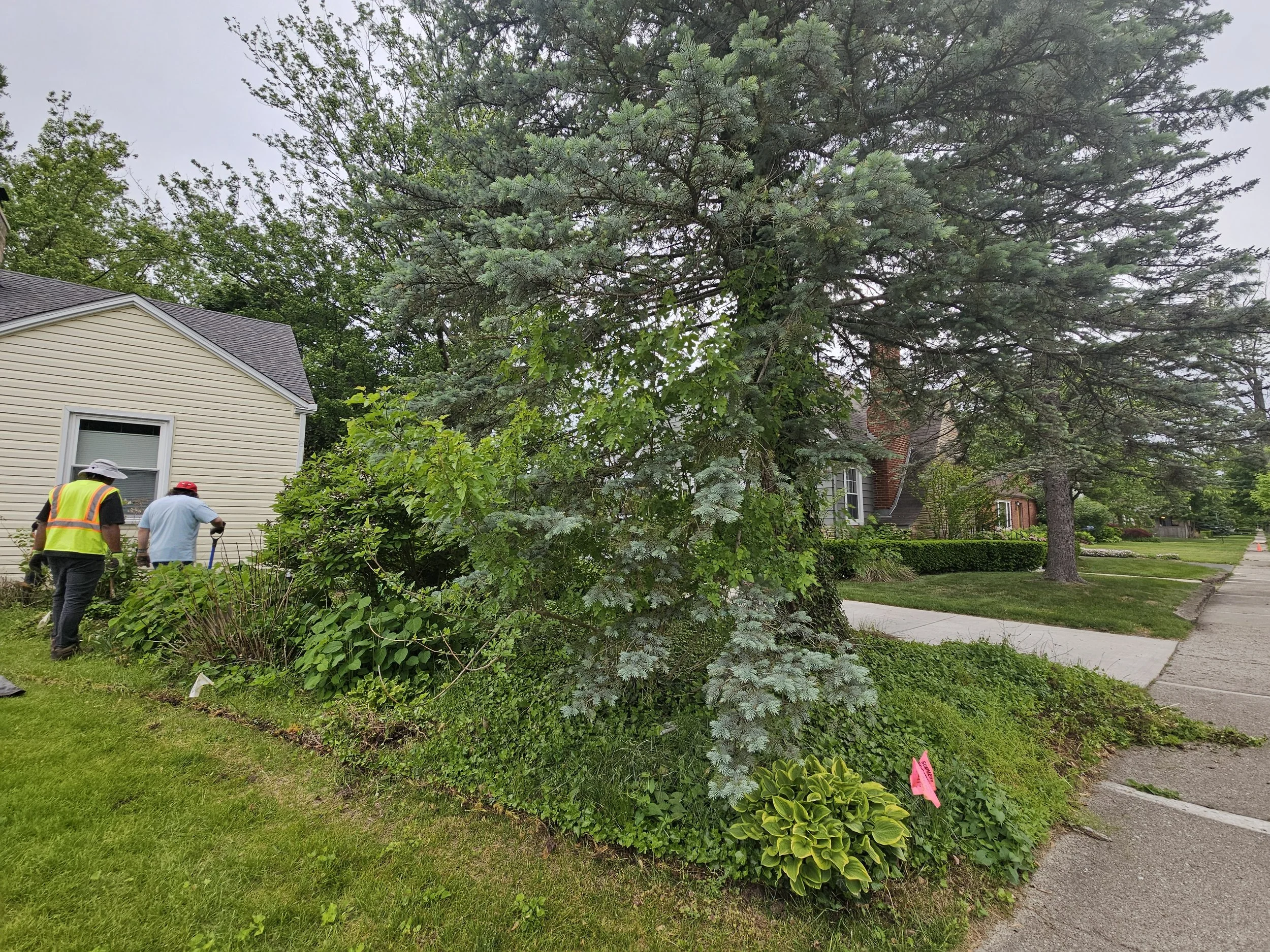 Nextdoor 1.jpg