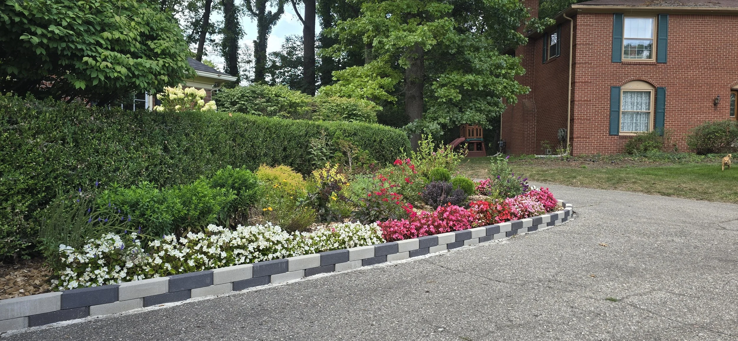 20260821_160559.jpg