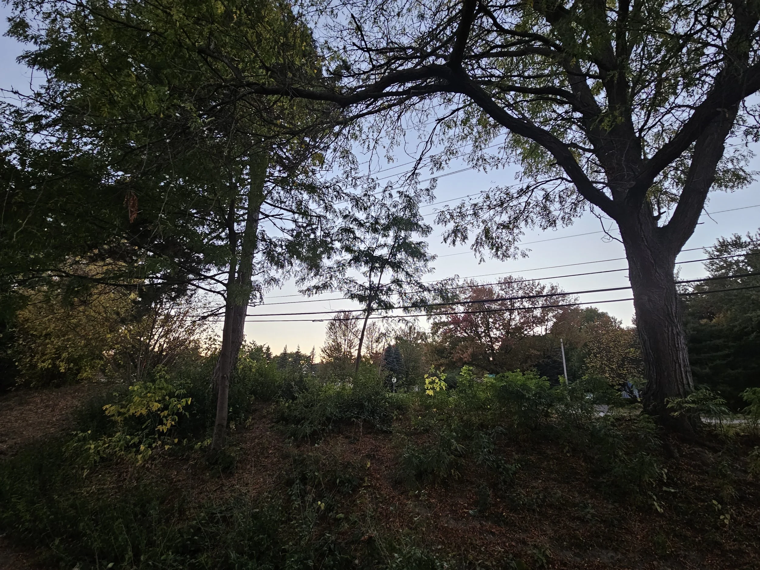 20251014_185858 (1).jpg