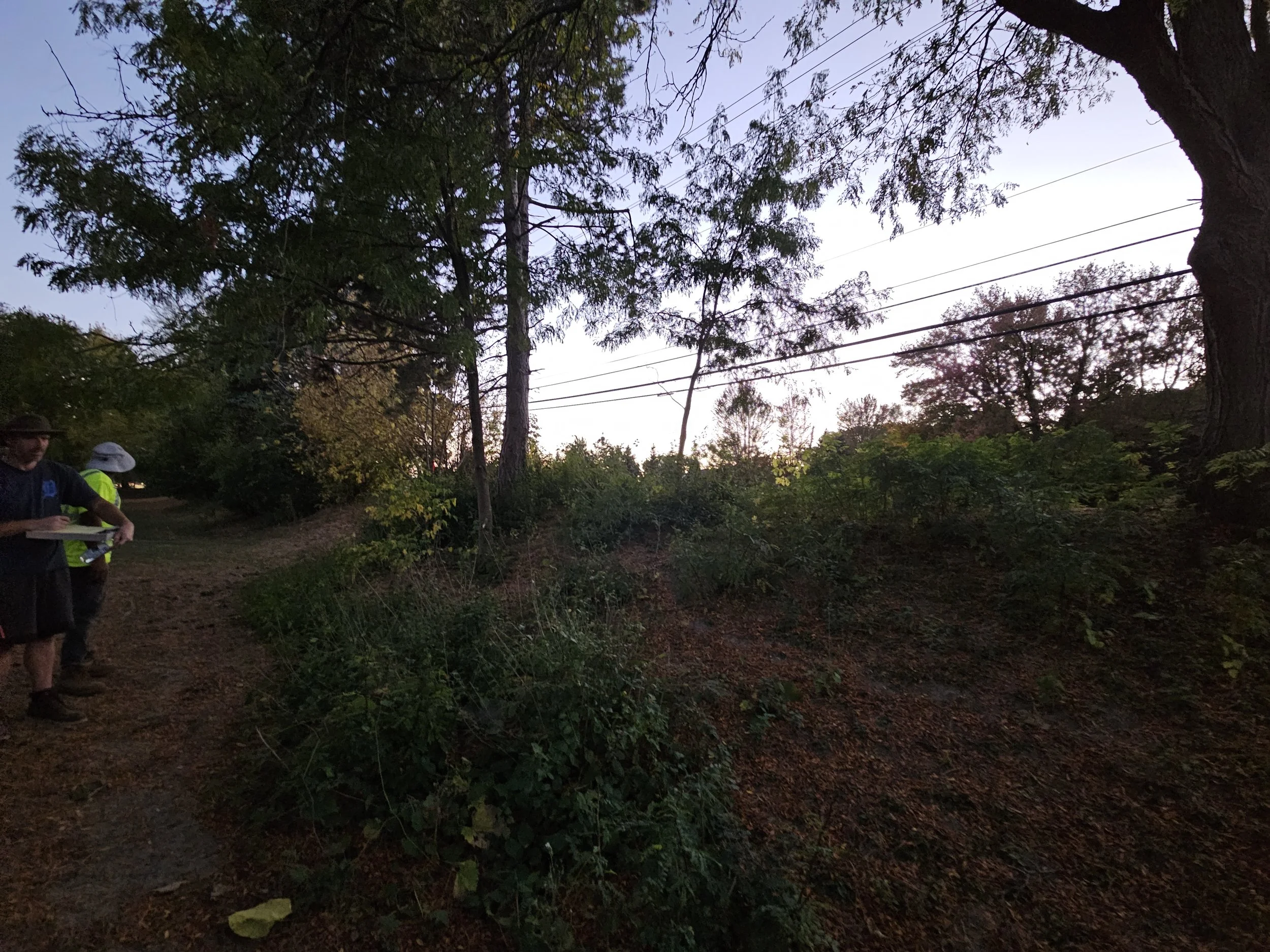 20251014_190607 (1).jpg