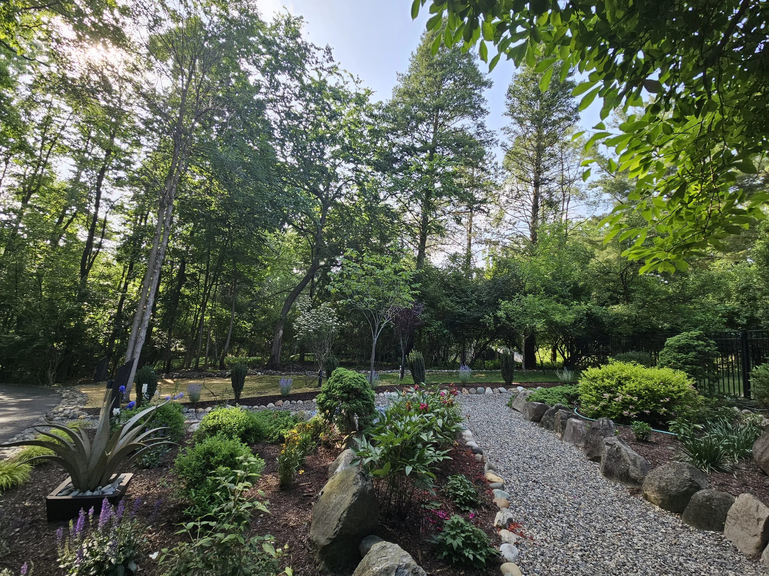 20250617_180613.jpg