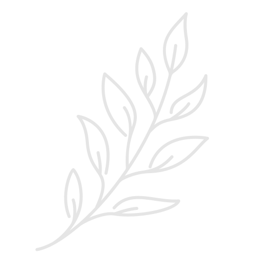 A simple white line drawing of a plant with leaves on a black background.