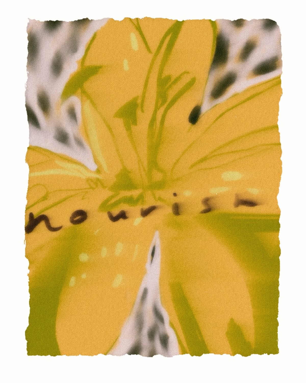 MINDFUL MONDAY | Today is about noticing what&rsquo;s nourishing. What feels comforting, supportive, and already good in your life. ✨

Inspired by a meditation on Insight Timer with David Ji, today&rsquo;s intention is simple:
&ldquo;I notice what&rs