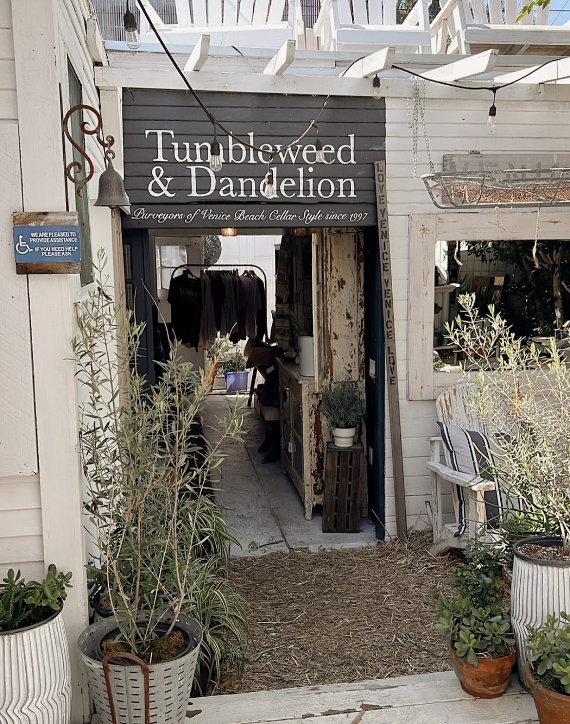 Sundays are for small shop getting to .. one of our fav Venice California way.. loving she is found in her original bungalow haven .. 🤍🙌🏻.. @tumbleweedanddandelion