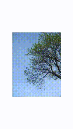 STEADY NEWYORK HARMONY Cap Release
(Queens - 2023)

Producer/Creative Director: Cal Wu
Videographer/Video Edit Kevin Guardia
Shot on Canon PowerShot SD1100