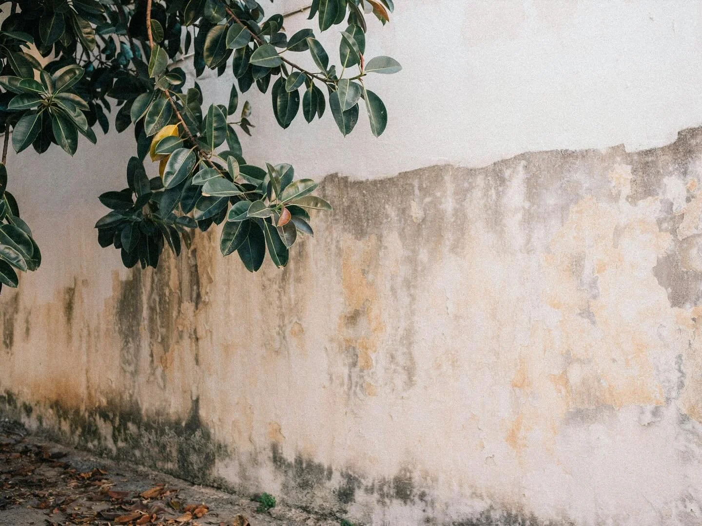 Thrilled to be expanding our footprint - from the heart of the city to the stunning edges of Port Phillip Bay. We look forward to revealing the projects we’ve been crafting behind the scenes shortly.
#newprojects #sitevisits #comingsoon #cityt