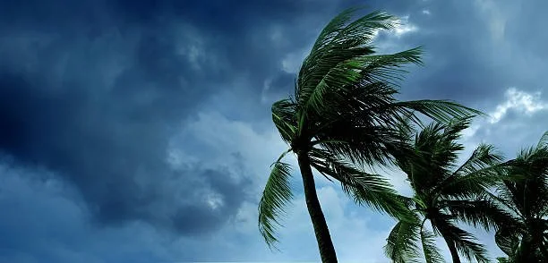 Can Smaller Listed Companies Weather the Storm