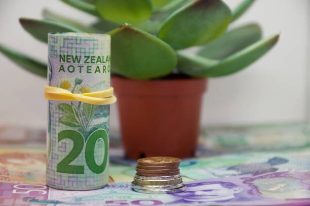 New Zealand to Outpace Australia in 2025–2026 Economic Growth | Westpac Forecast
