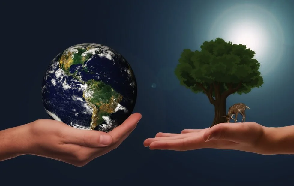 Ethical Investing in New Zealand: Aligning Your Money with Your Values