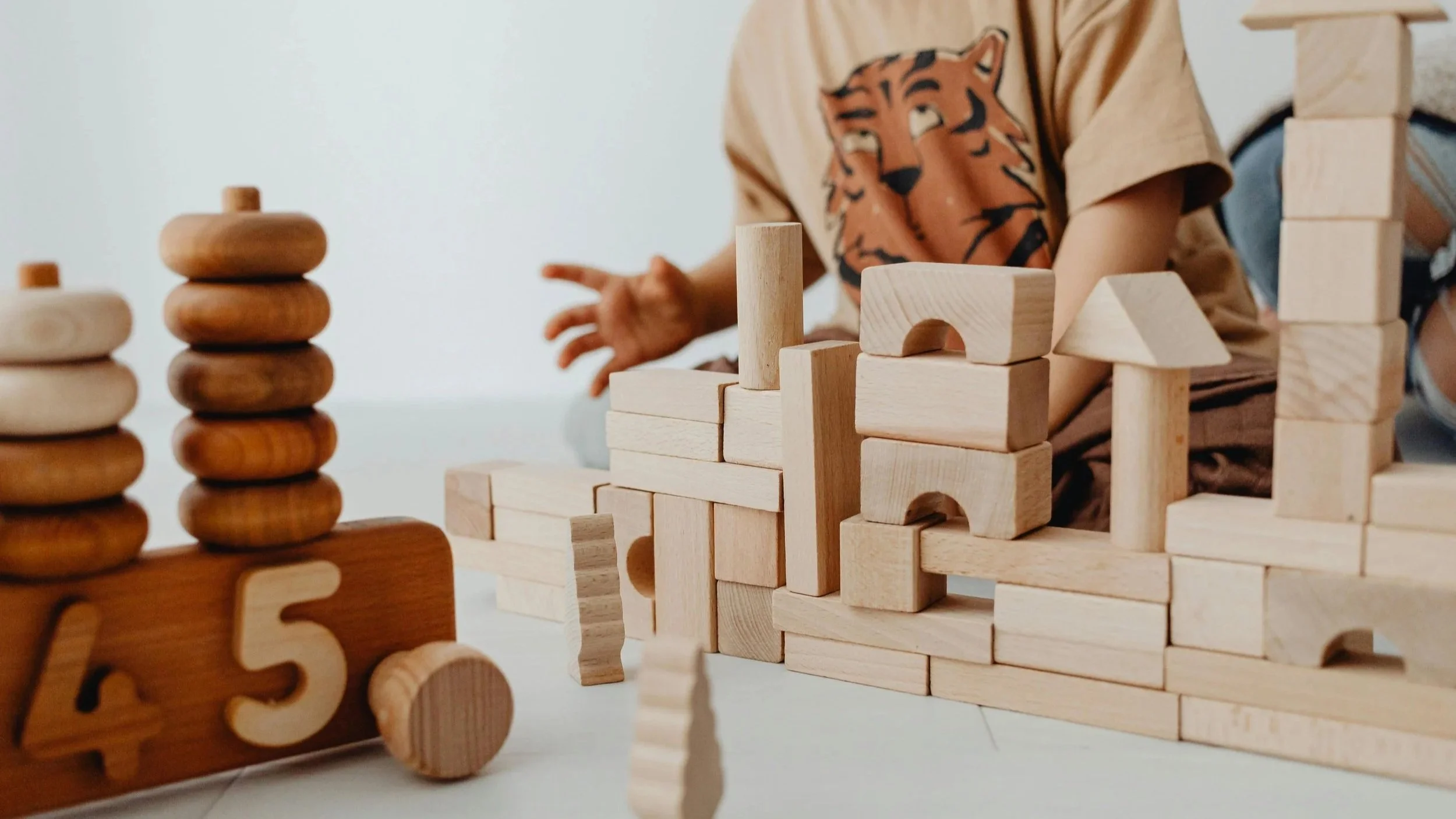 Provincial+Wealth+-+Building+Blocks.jpg