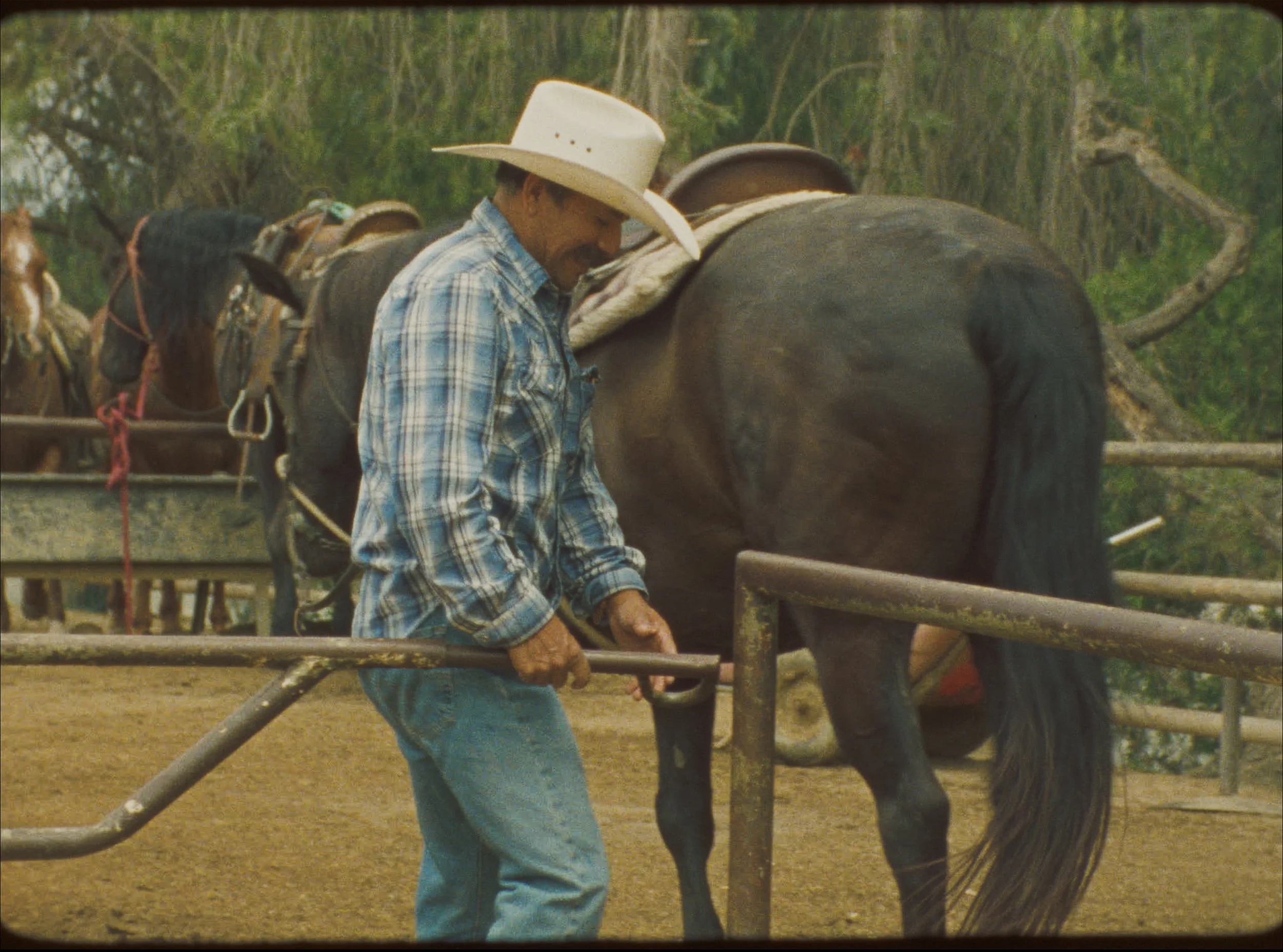 STILL_JAVIER05.jpg
