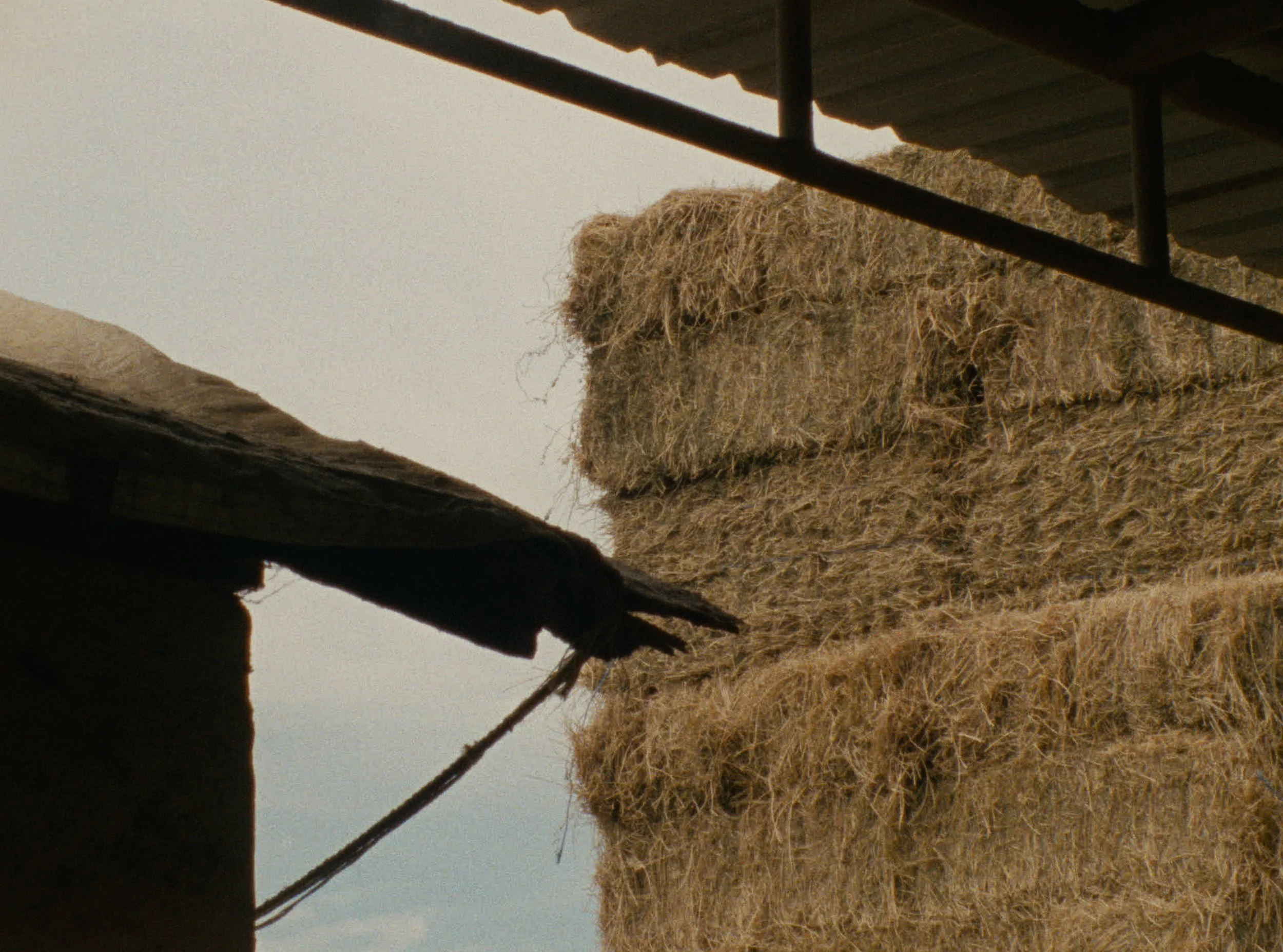 STILL_HAY STACK01.jpg