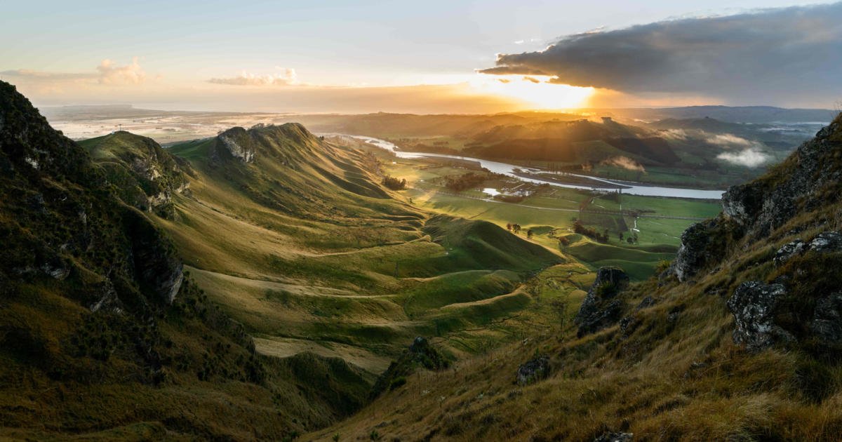 UNASHAMED Hawkes Bay