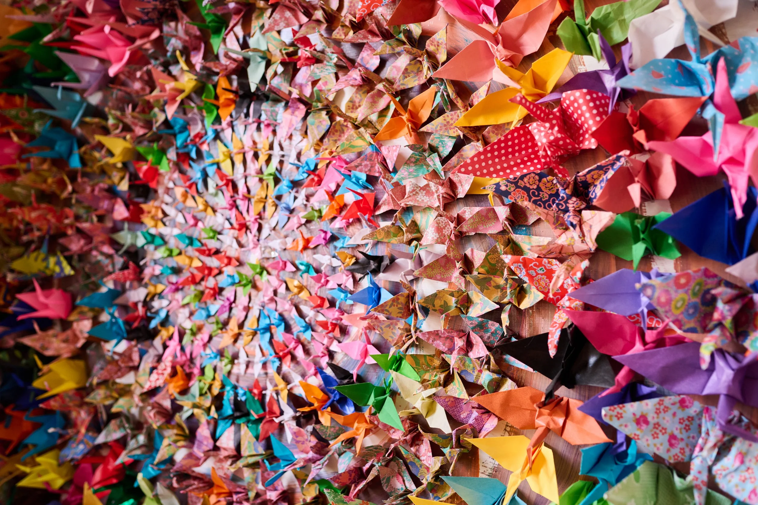 Willing: Practicing Our Creative Forces in Community