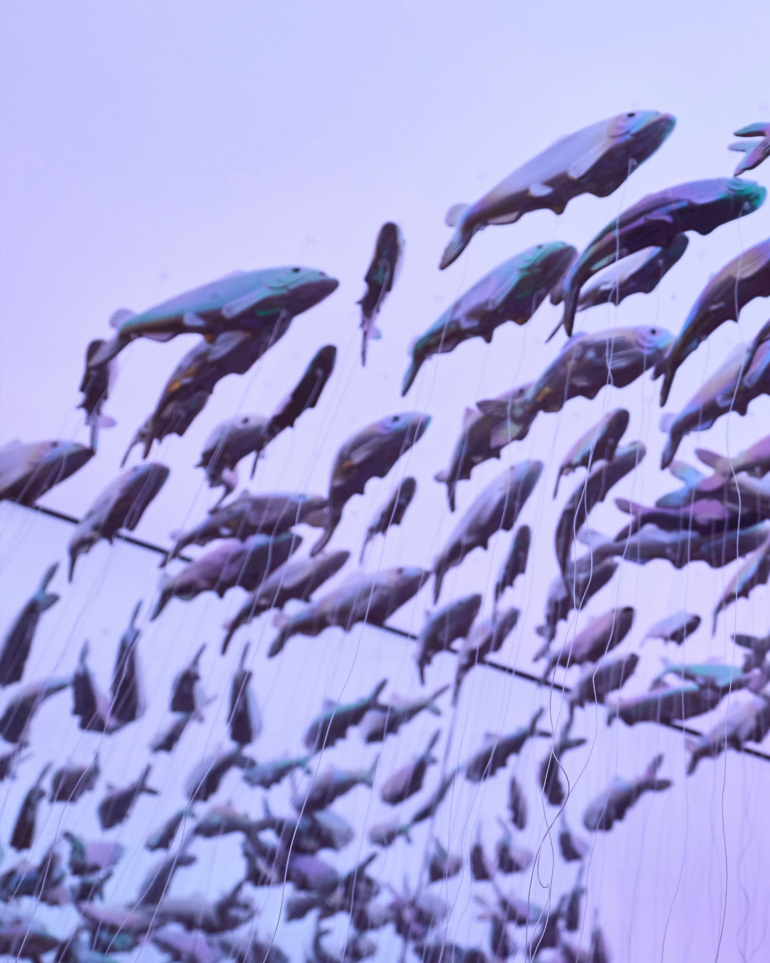 WF1769000 DM Social 1202 IG_Carousel-3.jpg