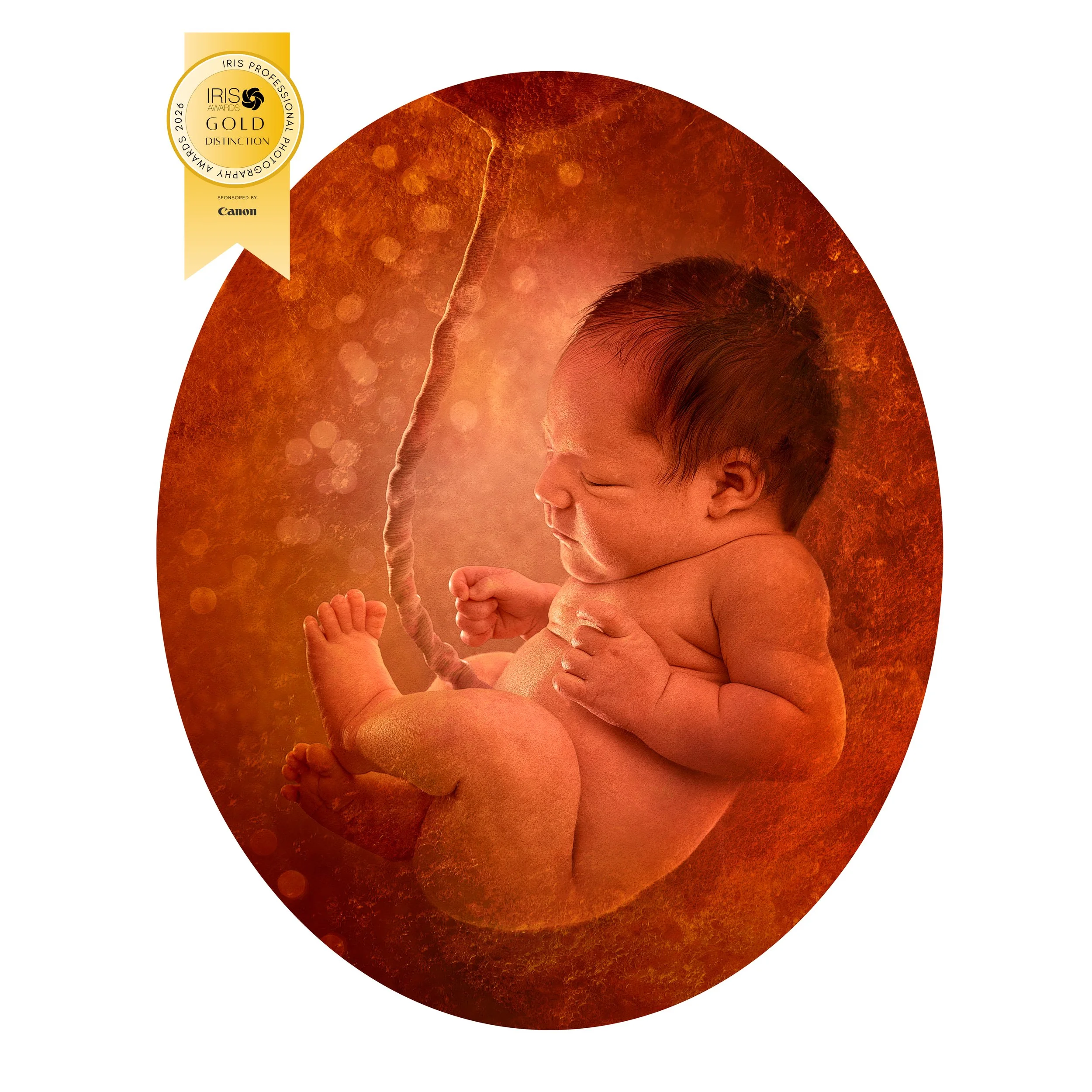 1. Amy Cope NZIPP Gold Disctinction award.jpg