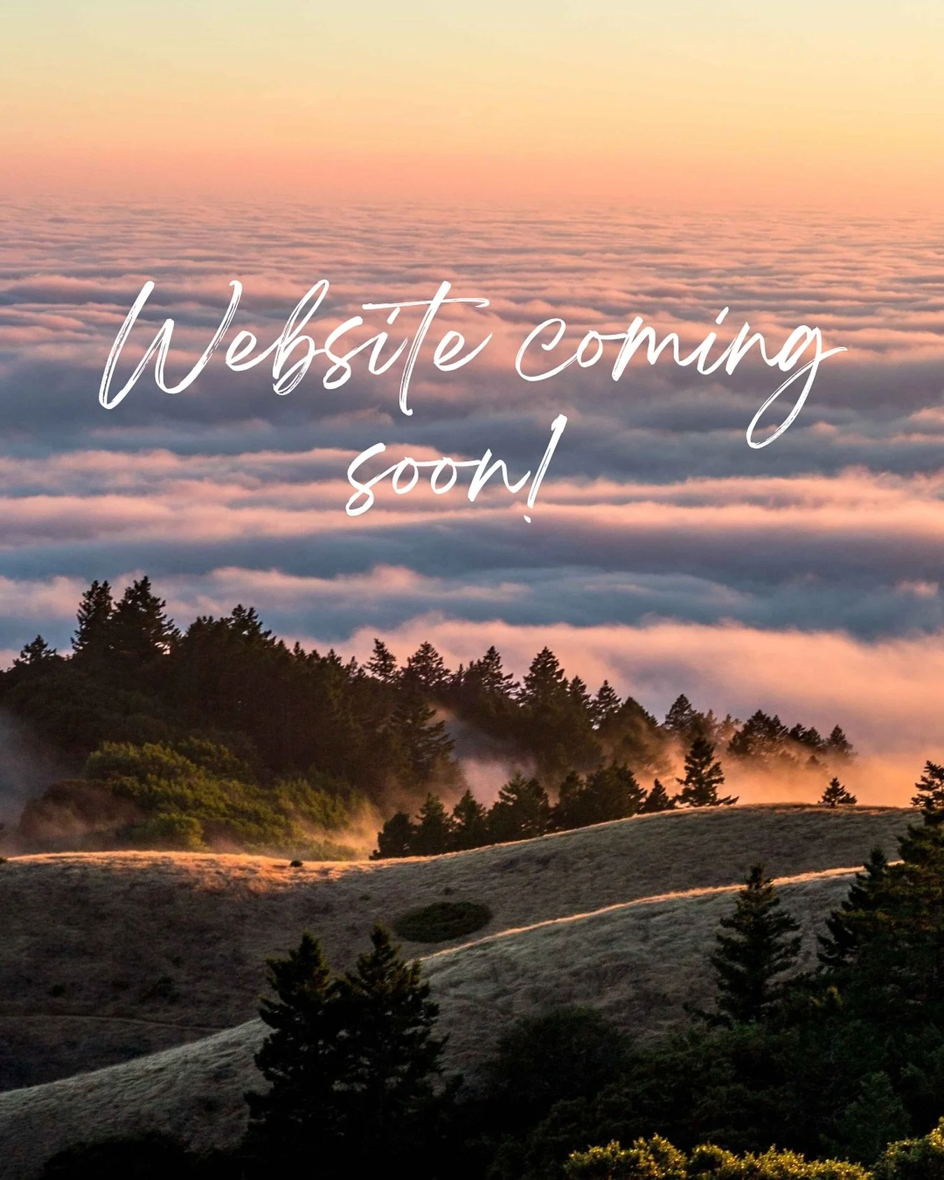 Cannot wait to LAUNCH and share what we have with you! Stay tuned for more updates! ☀️

#local #shoplocal #mama #entrepreneur #clothing #apparel #momssupportingmoms #916
