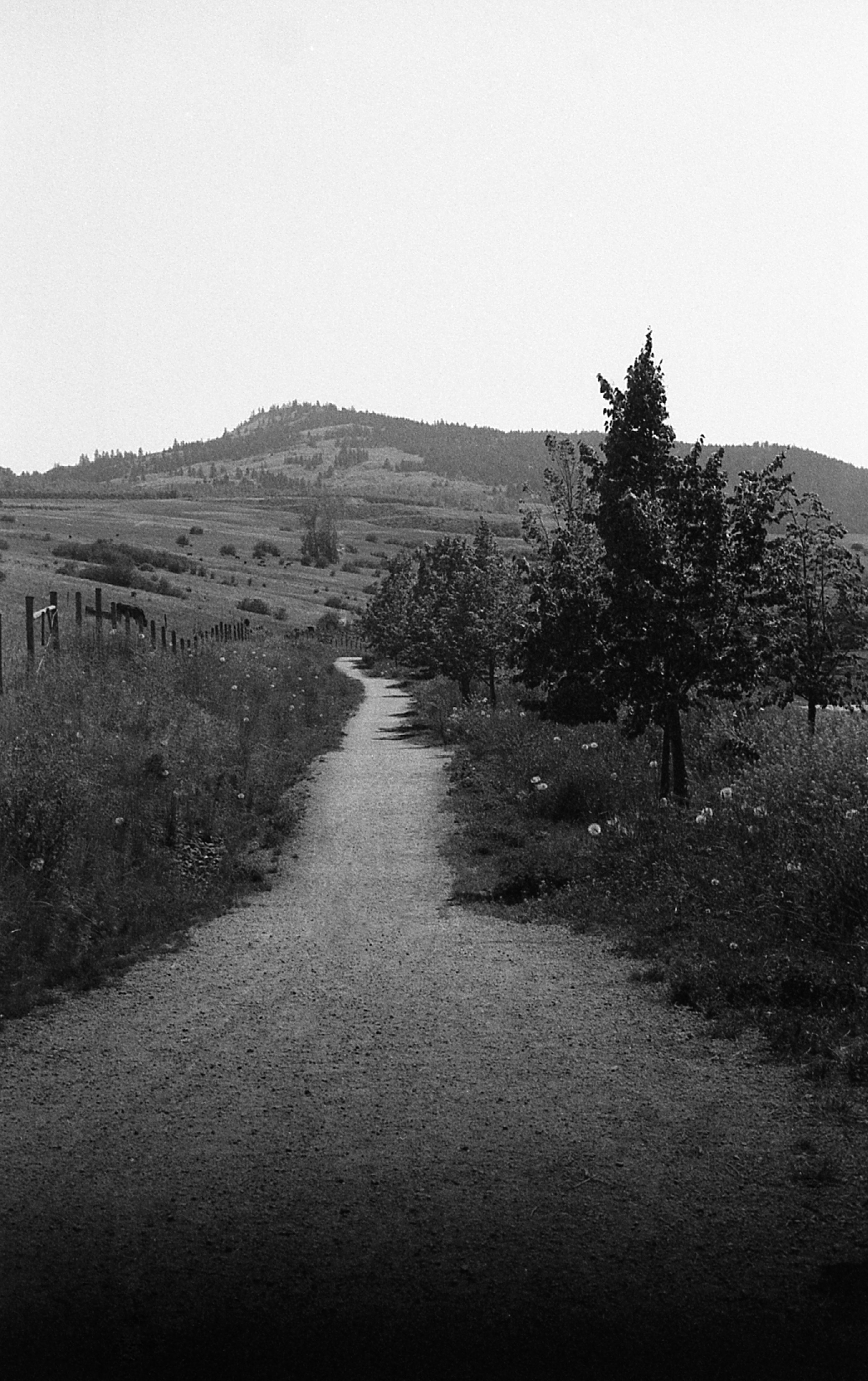 img007.jpg