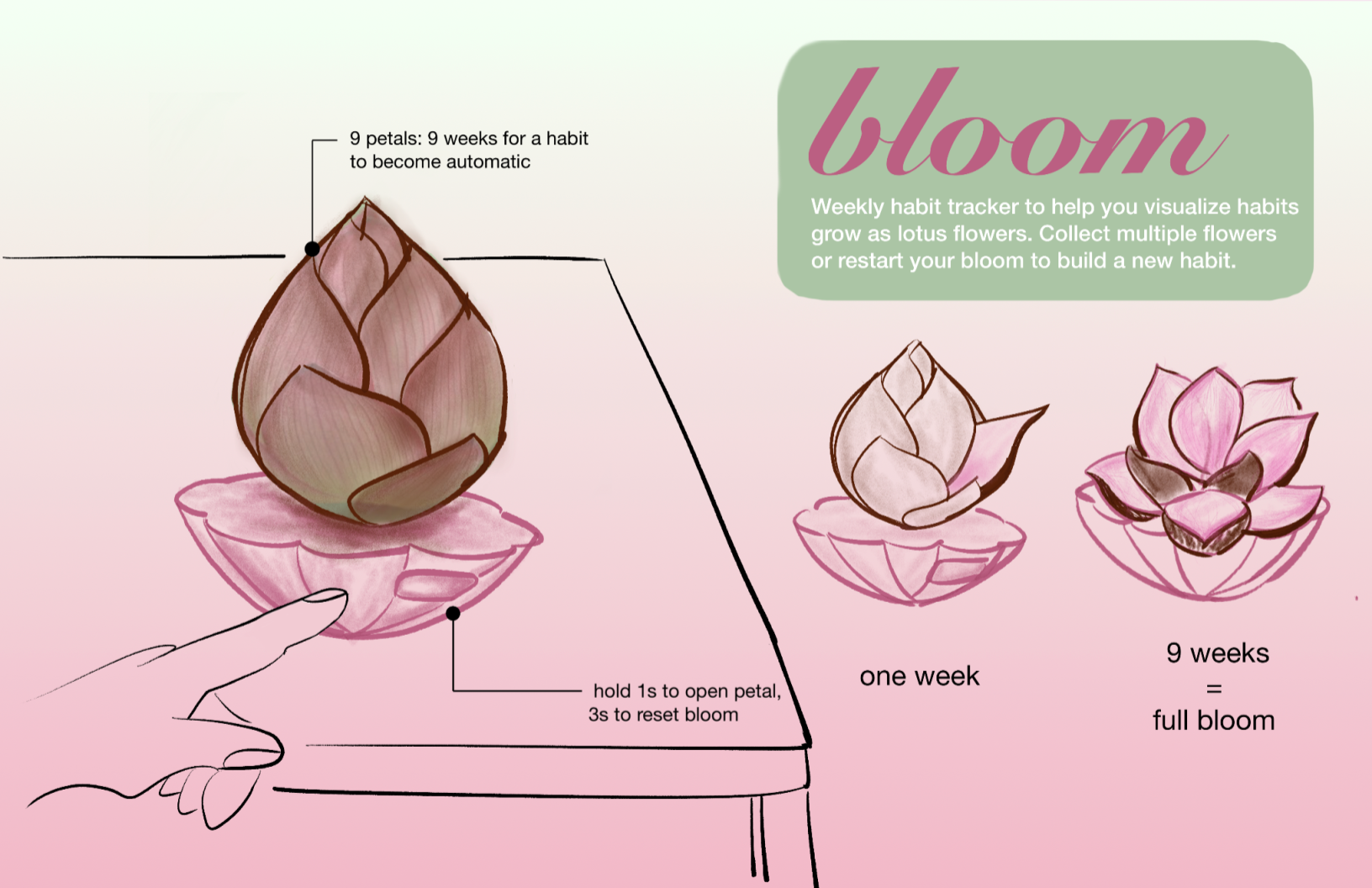 "Bloom" habit tracker concept sketch