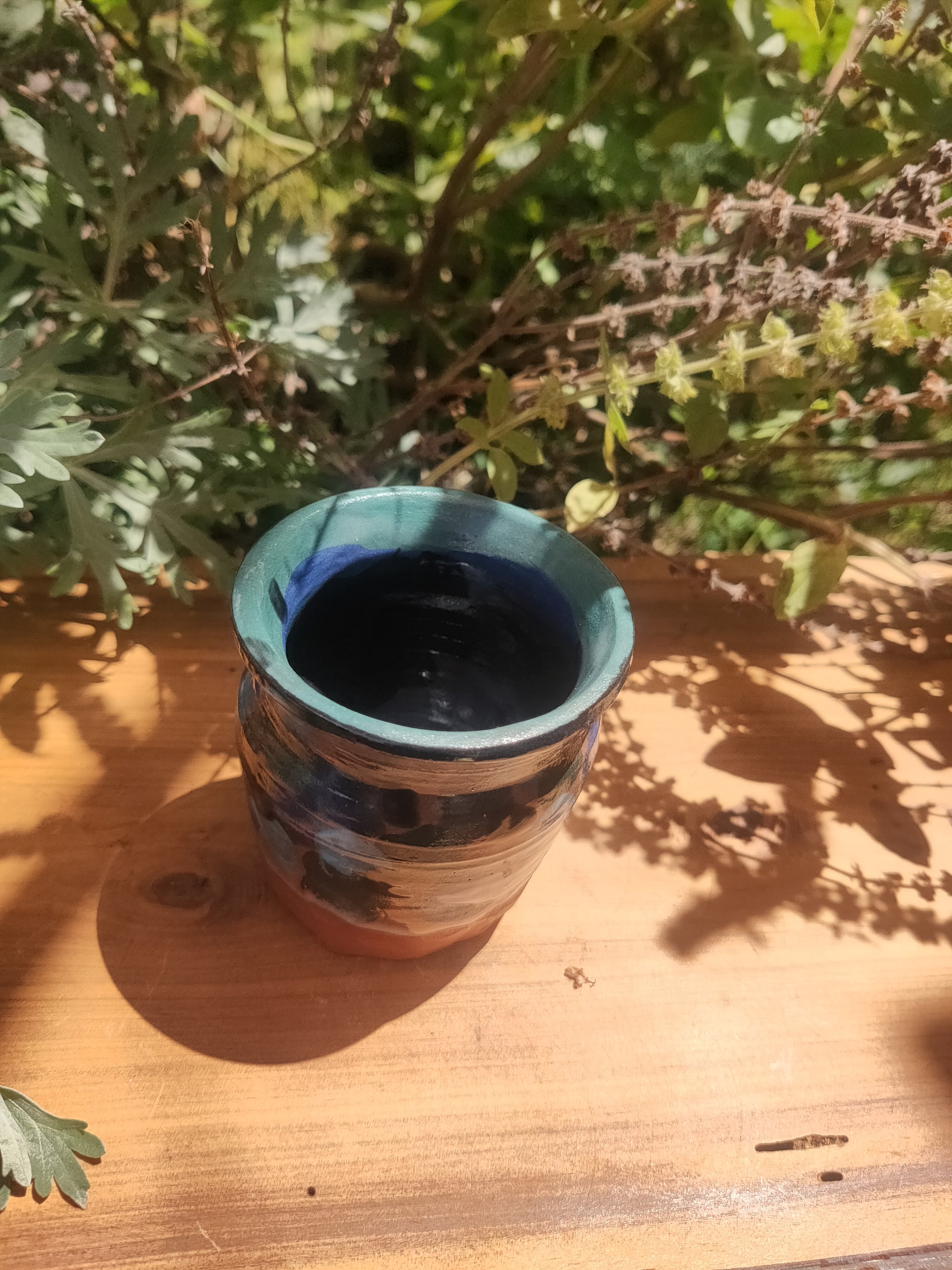 IMG20250317112159.jpg