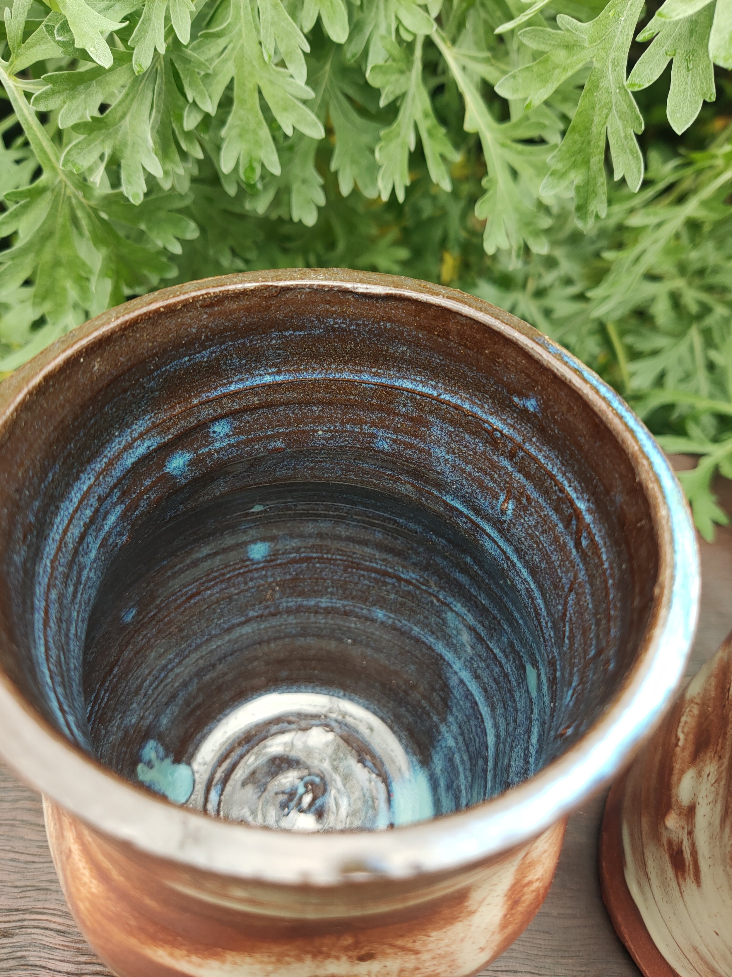 1000077404.jpg