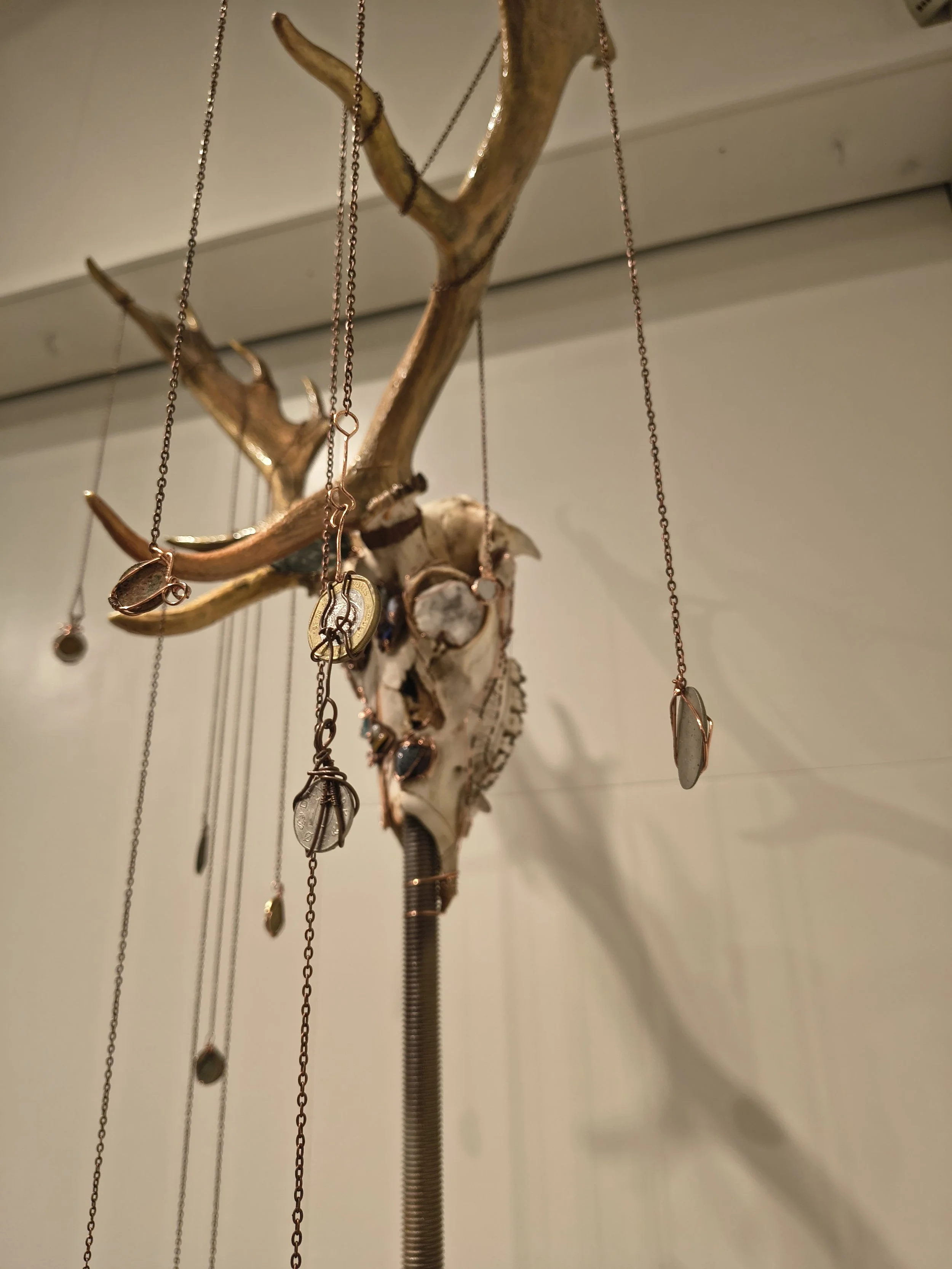 A decorative display featuring a tree branch with jewelry hanging from it, including necklaces and bracelets, with a skull mounted on the branch, and a white wall in the background.
