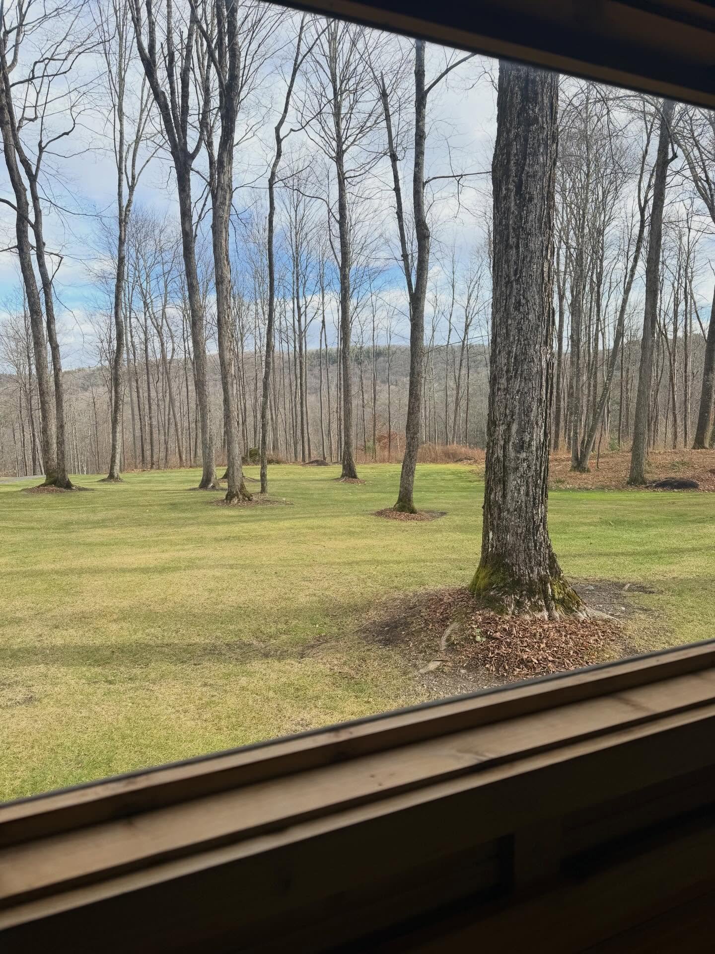 A Thanksgiving weekend rental in a magical location. Happy Thanksgiving all!

📍 West Stockbridge, MA

#mobilesauna #berkshiresfinest