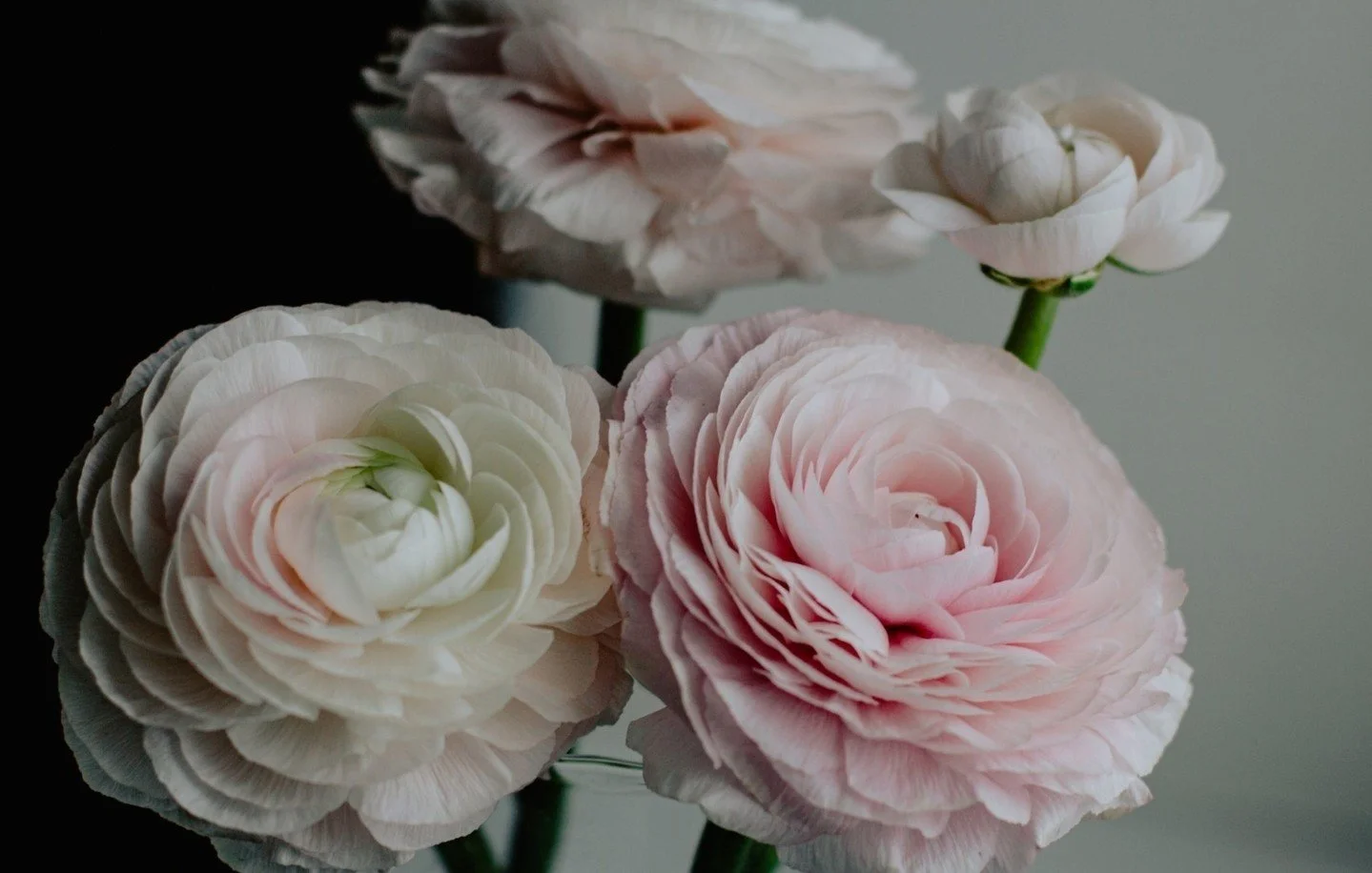 Not every win looks like a packed-out event venue.

Some look like this.

A quiet moment.
A full breath.
Fresh flowers on your desk, not because it&rsquo;s event day, but because you made space.

At the start, planning events feels like sprinting uph