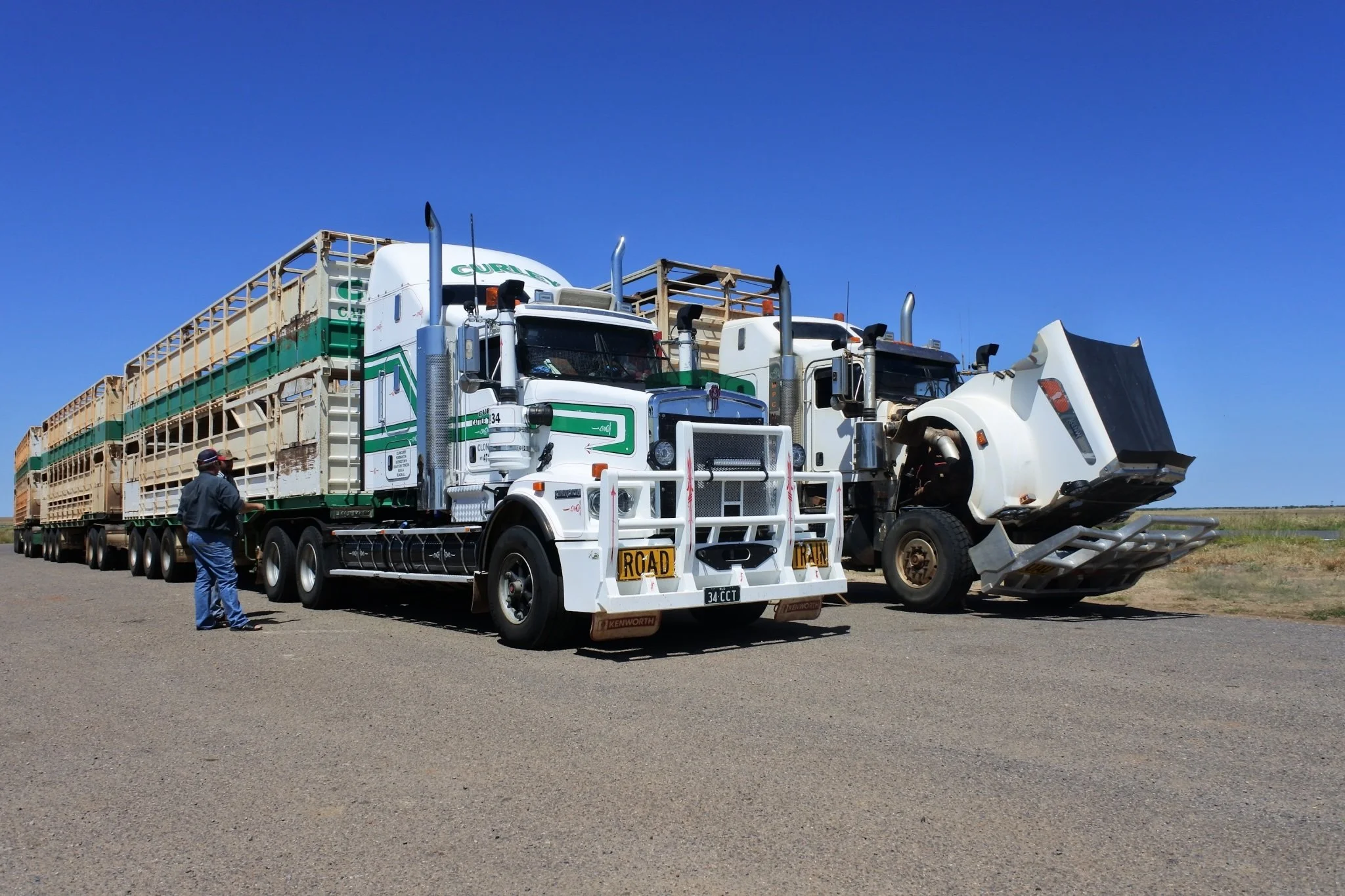 A white semi-truck with a grille guard and road signs on the front is stopped on the side of the road next to a large white and green semi-truck, which is hauling empty livestock cages. Two men are standing nearby, talking, under a clear blue sky.