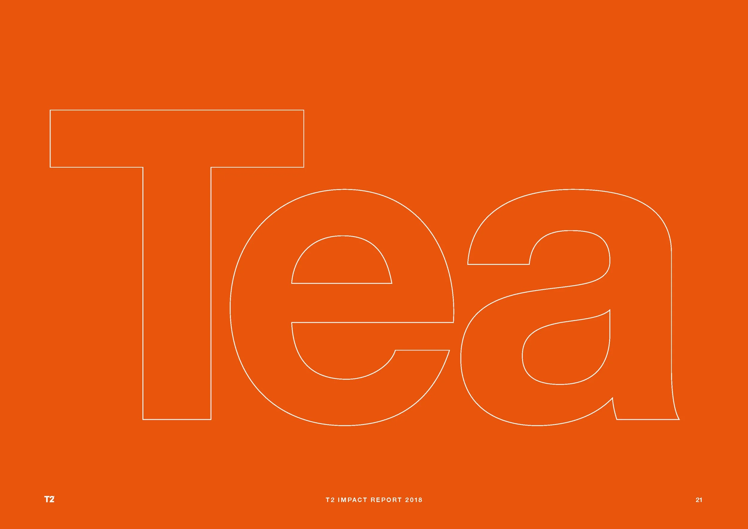T2_Impact_Report_2018_v2_Page_21.jpg