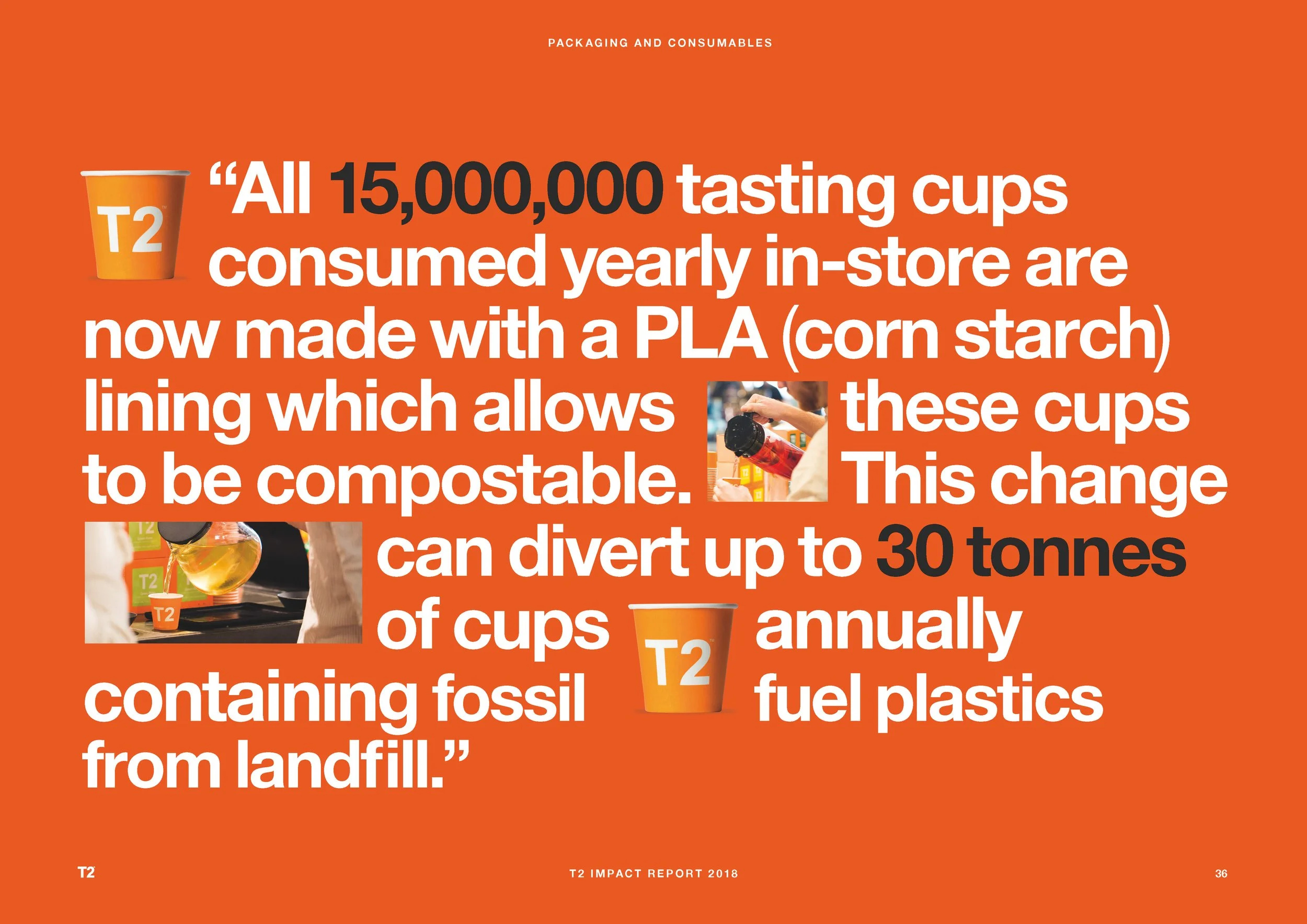 T2_Impact_Report_2018_v2_Page_36.jpg