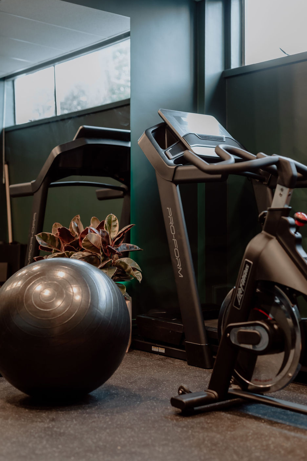 Back view of a person with curly hair and bare shoulders against a plain background.