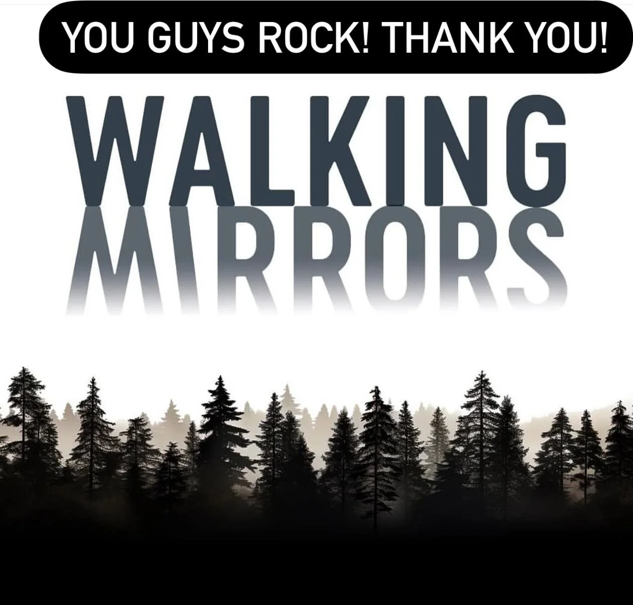 A huge thank you to Walking Mirrors @marknmirrors for kicking off Valley Visions prom with an amazing set and getting the party started! You guys rock and because of you we raised $9200 for LEAP and @lagunitascommunityschool!  And please check them o
