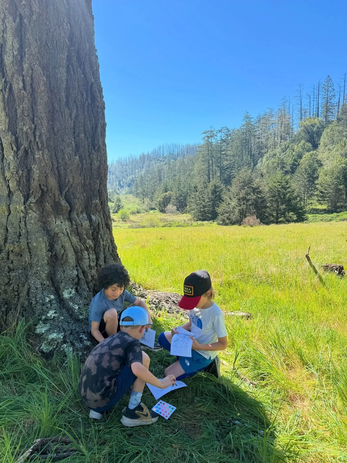 Amazing day for a field trip! Today we celebrated the Spring Equinox with a hike at Divide Meadows (a long standing tradition from the Montessori program). The kids hiked, played, ate lunch in the field and did a nature scavenger hunt. Happy spring! 