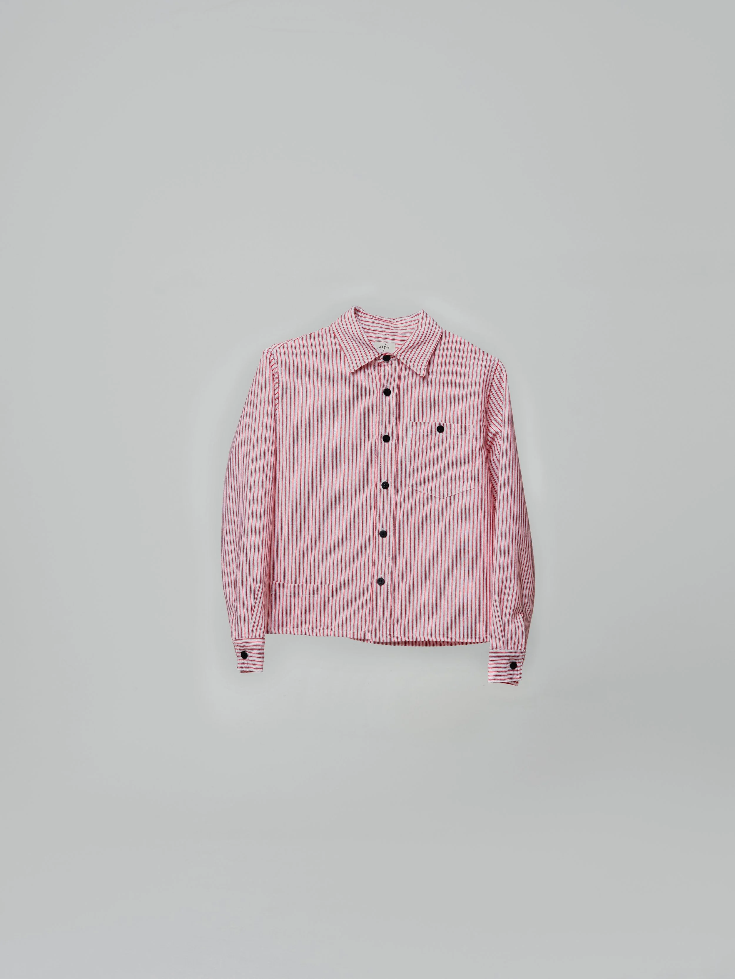 Roadrunner Button-Up